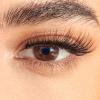 KISS Lash Couture The Muses Holiday False Eyelashes, ‘’Noblesse’, 12mm, Tapered Ends, Wispy Faux Silk Finish, Vegan, Cruelty-Free, Lightweight, 1 Pair + Lash Glue, NET WT. 1g (0.035 oz.)(Legacy)