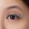 KISS Halloween Limited Edition Pink Zombie False Eyelashes, 1 Pair – Pinkfectious(Abracadabra)