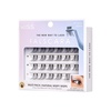 FALSCARA False Eyelashes, Lash Extension Kit, Reusable Eyelash Clusters, Waterproof Individual Lashes, Gentle on Natural Lashes(Black)